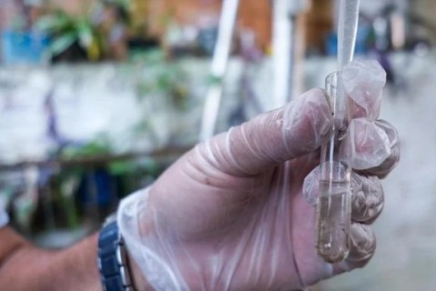 Mortes por dengue no RS chegam a 30