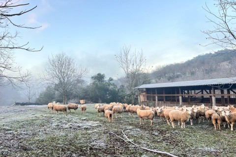 Depois da chuva, frio intenso exige cuidados
