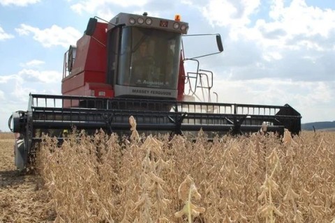 Rio Grande do Sul poderá ter safra recorde de grãos