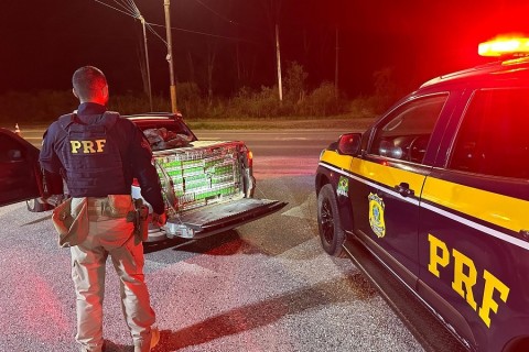 Jovem de Venâncio Aires é flagrado com carga de cigarros contrabandeados em Bagé