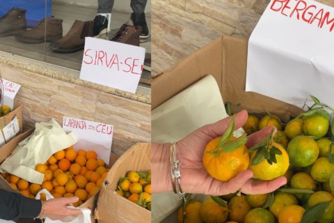 Moradora distribui frutas de graça no Calçadão de Estrela e surpreende comunidade