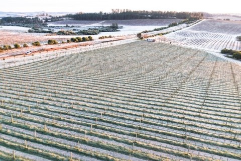 Ciclone vai prolongar onda de frio intenso no RS