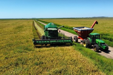 Diesel pressiona agro gaúcho em R$ 612 mi