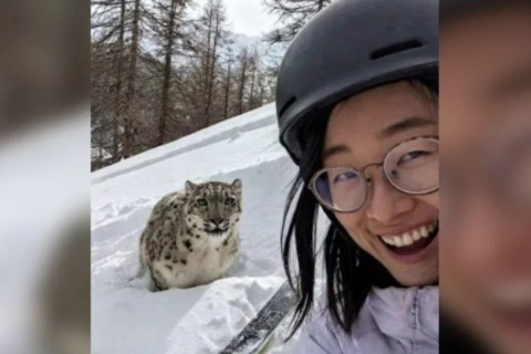 Selfie é revelada e mostra jovem a três metros de leopardo-das-neves antes de ser atacada