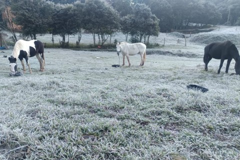 Serra tem neve, e Vale do Taquari amanhece com geada